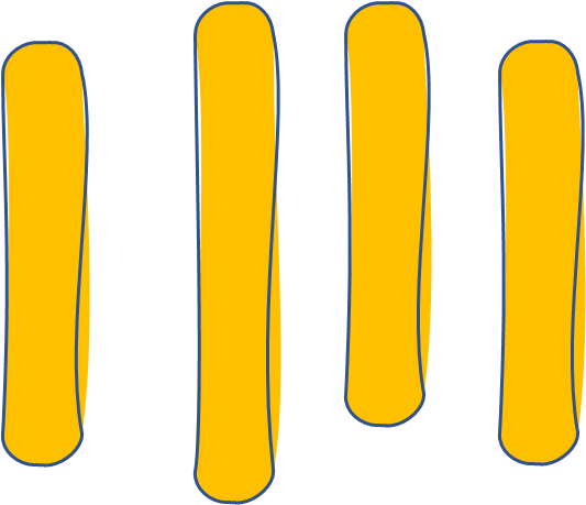 designtem-1_shah sultan shawon